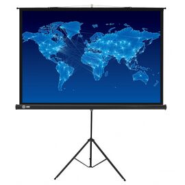  Экран Cactus 150x150см Triscreen CS-PST-150x150 1:1 напольный рулонный черный 